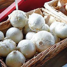 Load image into Gallery viewer, ONION, White Sweet Spanish - 99¢ Cent Heirloom Seeds: Heirloom,Bulk	