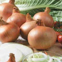 Load image into Gallery viewer, ONION, Yellow Sweet Spanish - 99¢ Cent Heirloom Seeds: Heirloom,Bulk	