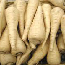 Load image into Gallery viewer, PARSNIPS, Hollow Crown - 99¢ Cent Heirloom Seeds: Heirloom,Bulk	