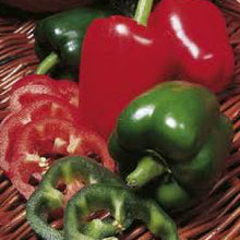 Load image into Gallery viewer, PEPPER, California Wonder - 99¢ Cent Heirloom Seeds: Heirloom,Bulk	