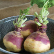 Load image into Gallery viewer, RUTABAGA, American Purple Top - 99¢ Cent Heirloom Seeds: Heirloom,Bulk	