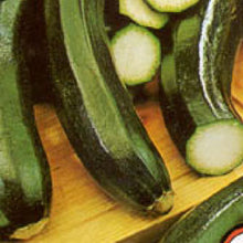 Load image into Gallery viewer, SQUASH, Black Beauty - 99¢ Cent Heirloom Seeds: Heirloom,Bulk	