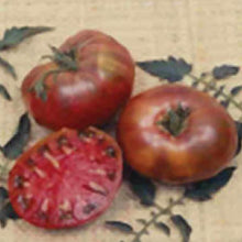 Load image into Gallery viewer, TOMATO, Cherokee Purple - 99¢ Cent Heirloom Seeds: Heirloom	