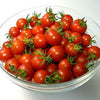 TOMATO, Red Cherry (Large)