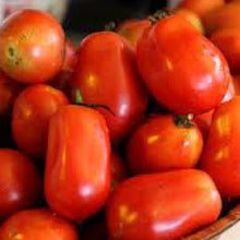 Load image into Gallery viewer, TOMATO, Roma - 99¢ Cent Heirloom Seeds: Heirloom	