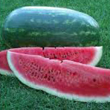 Load image into Gallery viewer, WATERMELON, Black Diamond - 99¢ Cent Heirloom Seeds: Heirloom,Bulk	