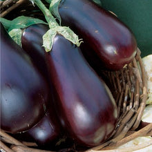 Load image into Gallery viewer, EGGPLANT Seeds, Black Beauty